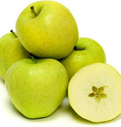 Apfelbaum ´GOLDEN DELICIOUS´ Unterlage M26, 140-150 cm, Produktbild 