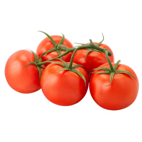Frische Rispentomaten | Strauchtomaten | Fleischtomaten (1000 g)|B0DHLF1D5S