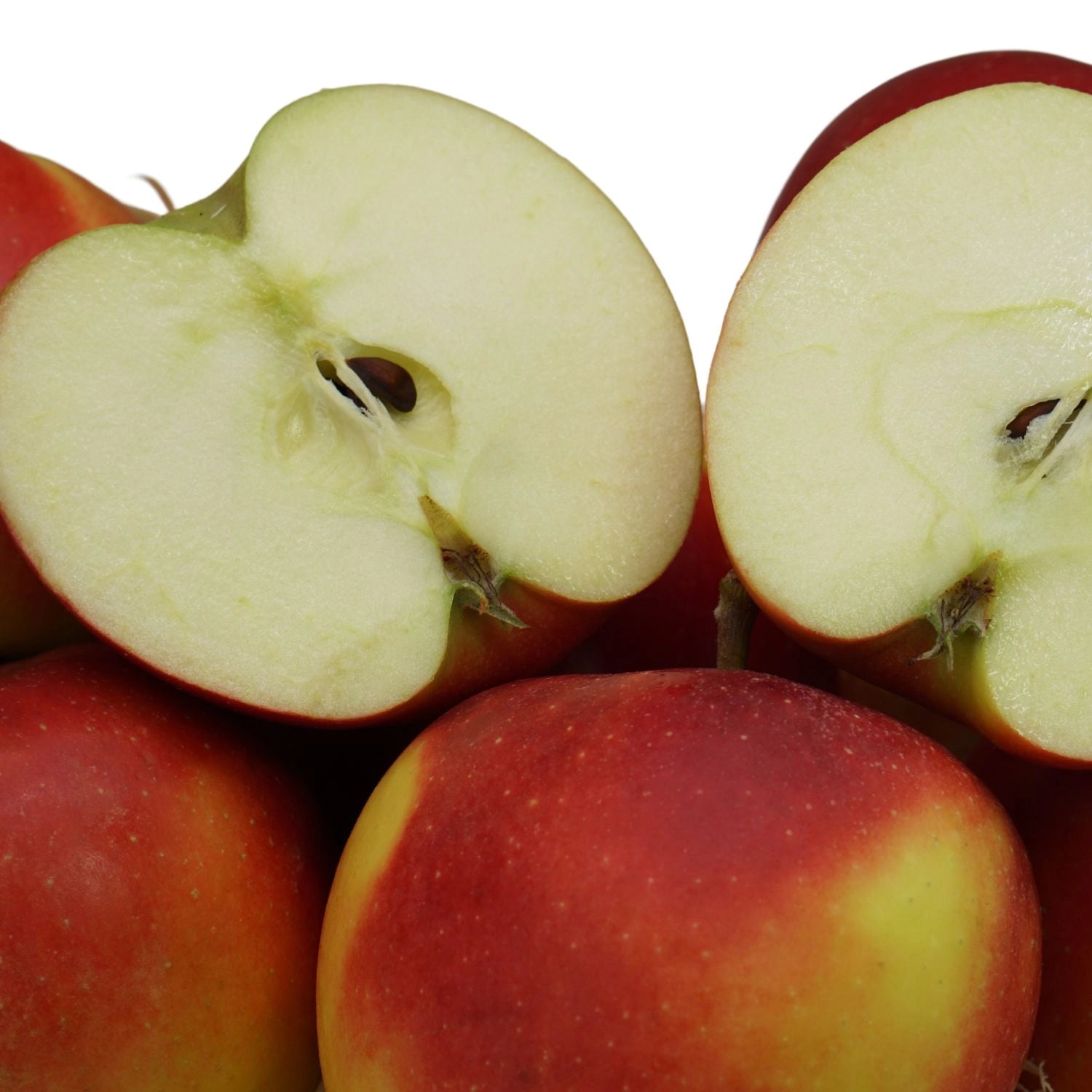 Elstarapfel