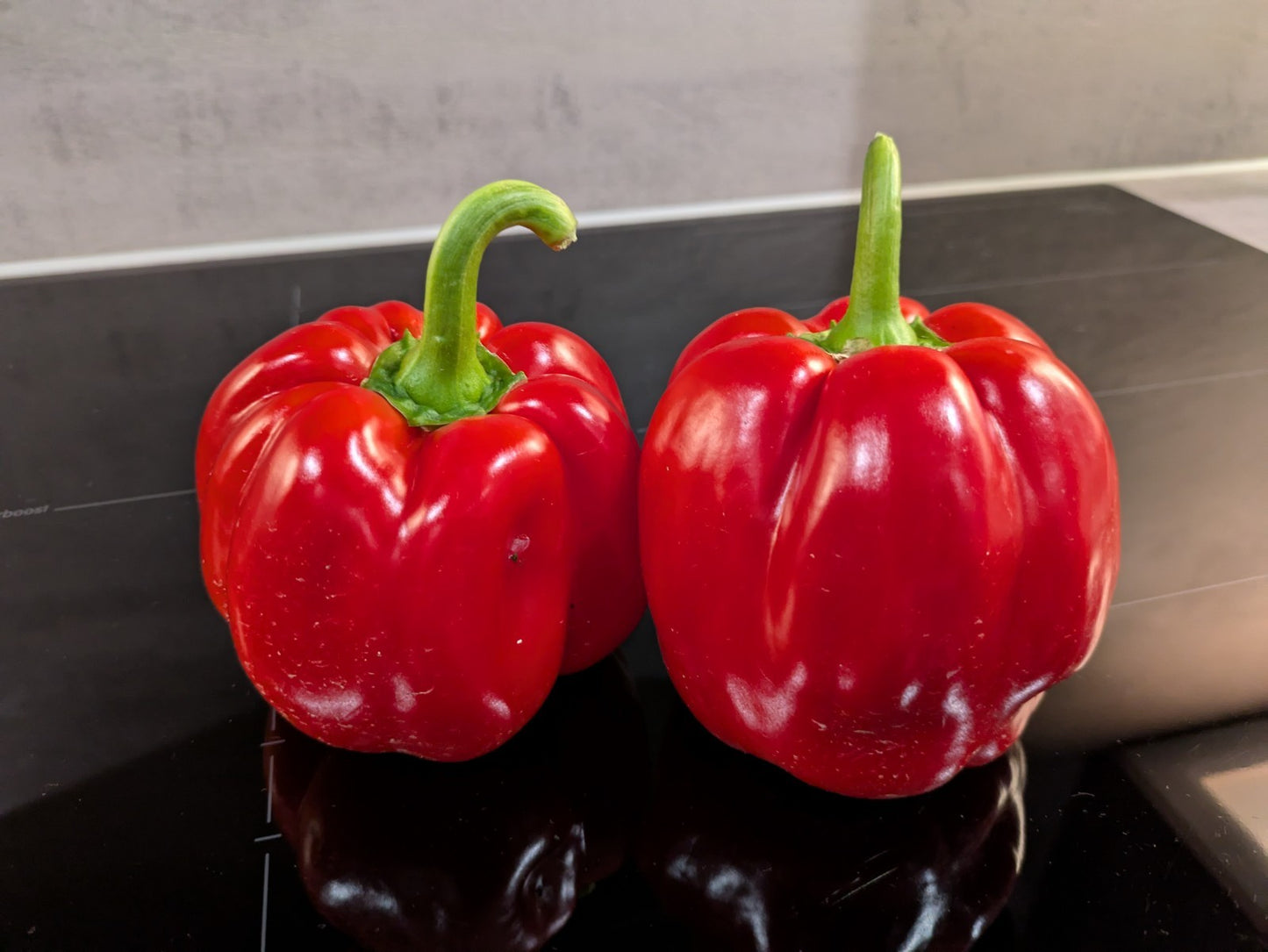 Paprika 🌶️ Rot 15 Samen Gemüsepaprika 🫑 Red Knight ertragreiche Sorte Lecker  - Bild 5 von 5